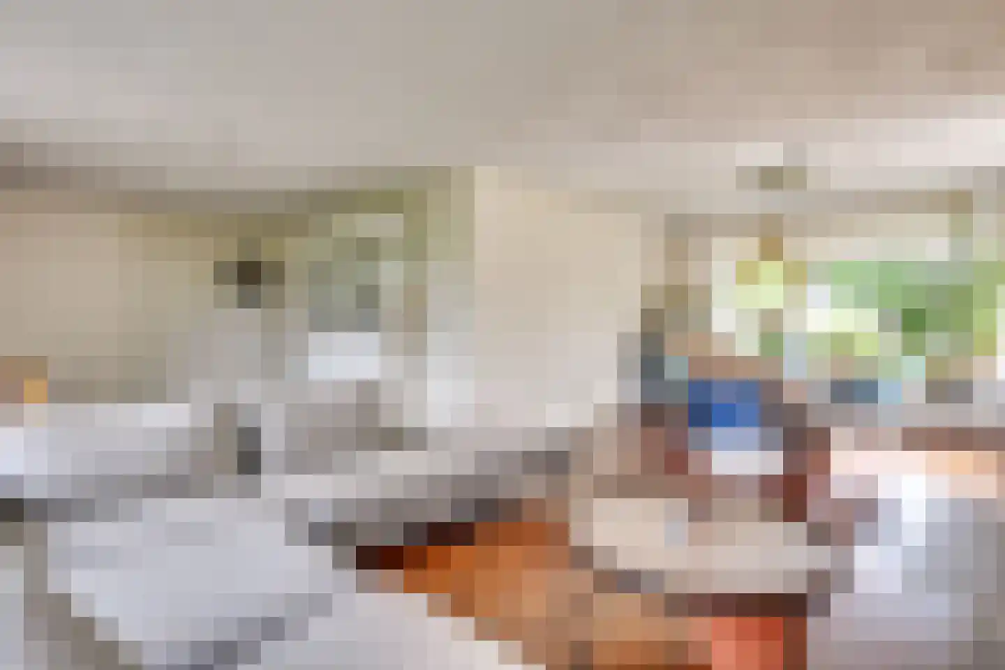 Paus Joanneslaan 17 Uden thumbnail 11