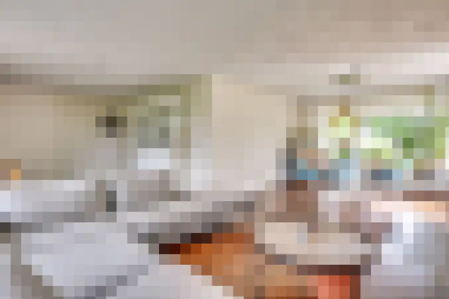 Paus Joanneslaan 17 Uden thumbnail 12