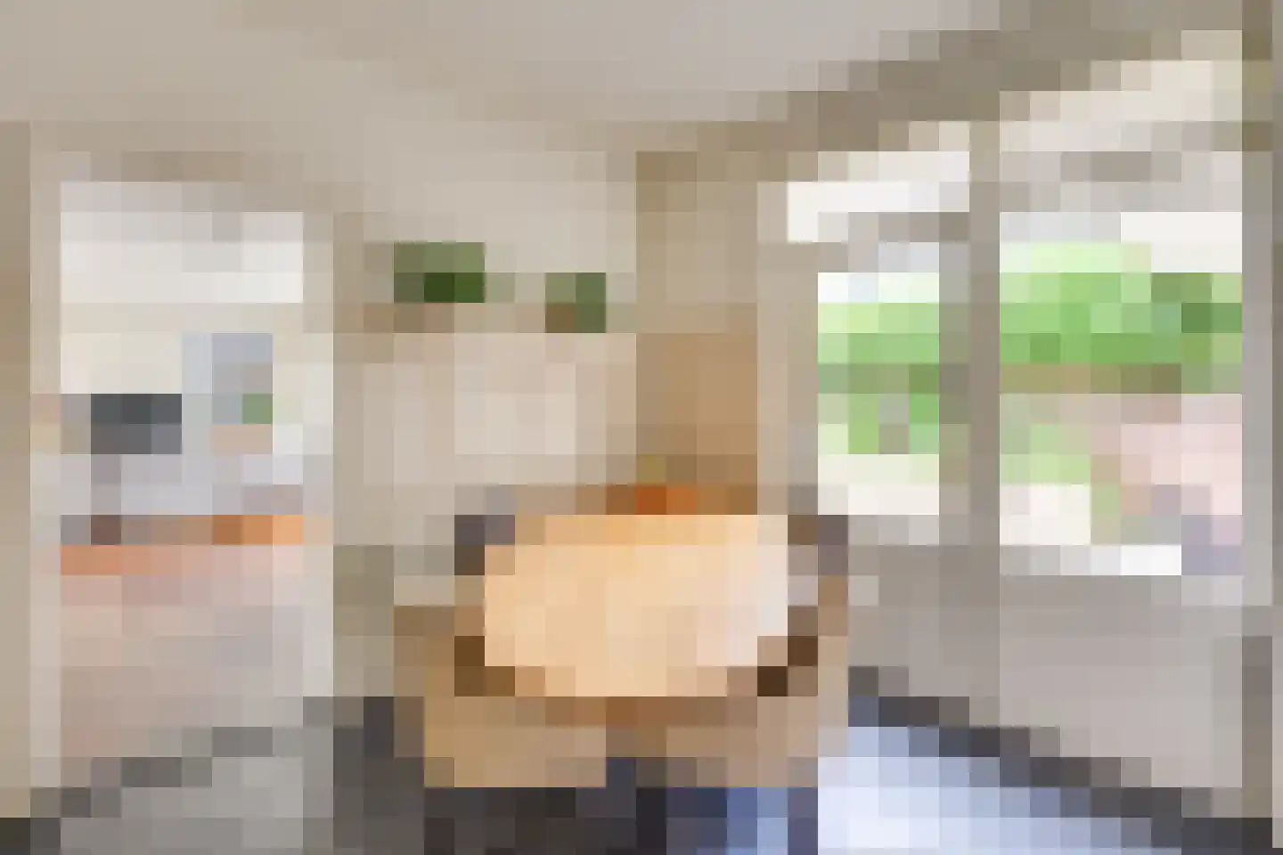 Paus Joanneslaan 17 Uden thumbnail 16
