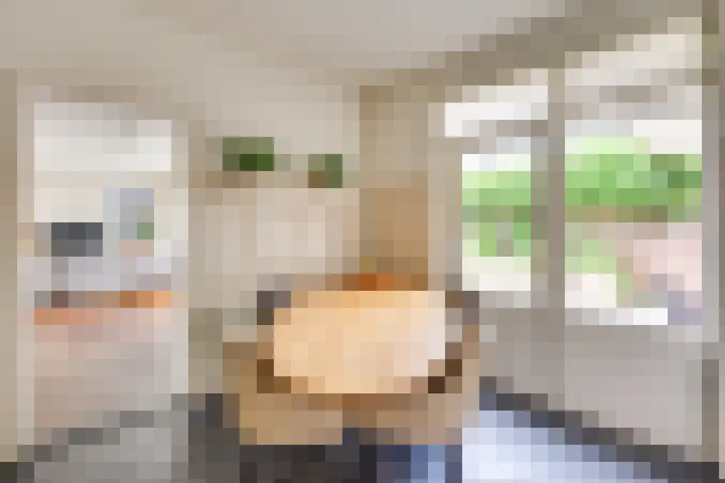 Paus Joanneslaan 17 Uden thumbnail 16