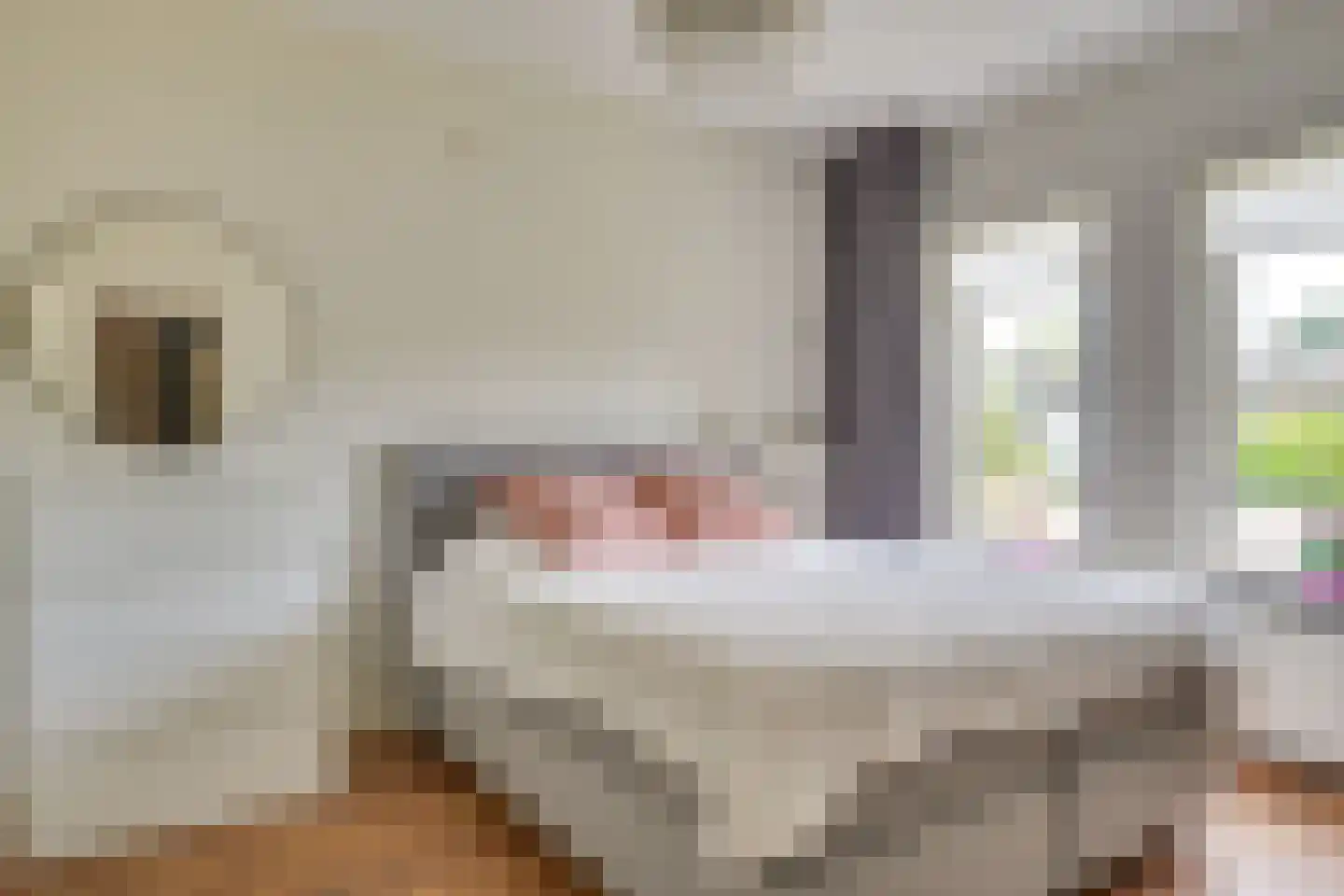 Paus Joanneslaan 17 Uden thumbnail 17