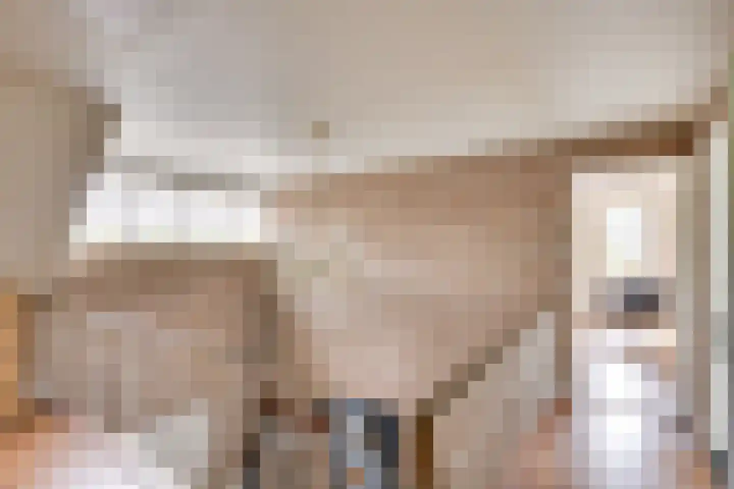 Paus Joanneslaan 17 Uden thumbnail 21