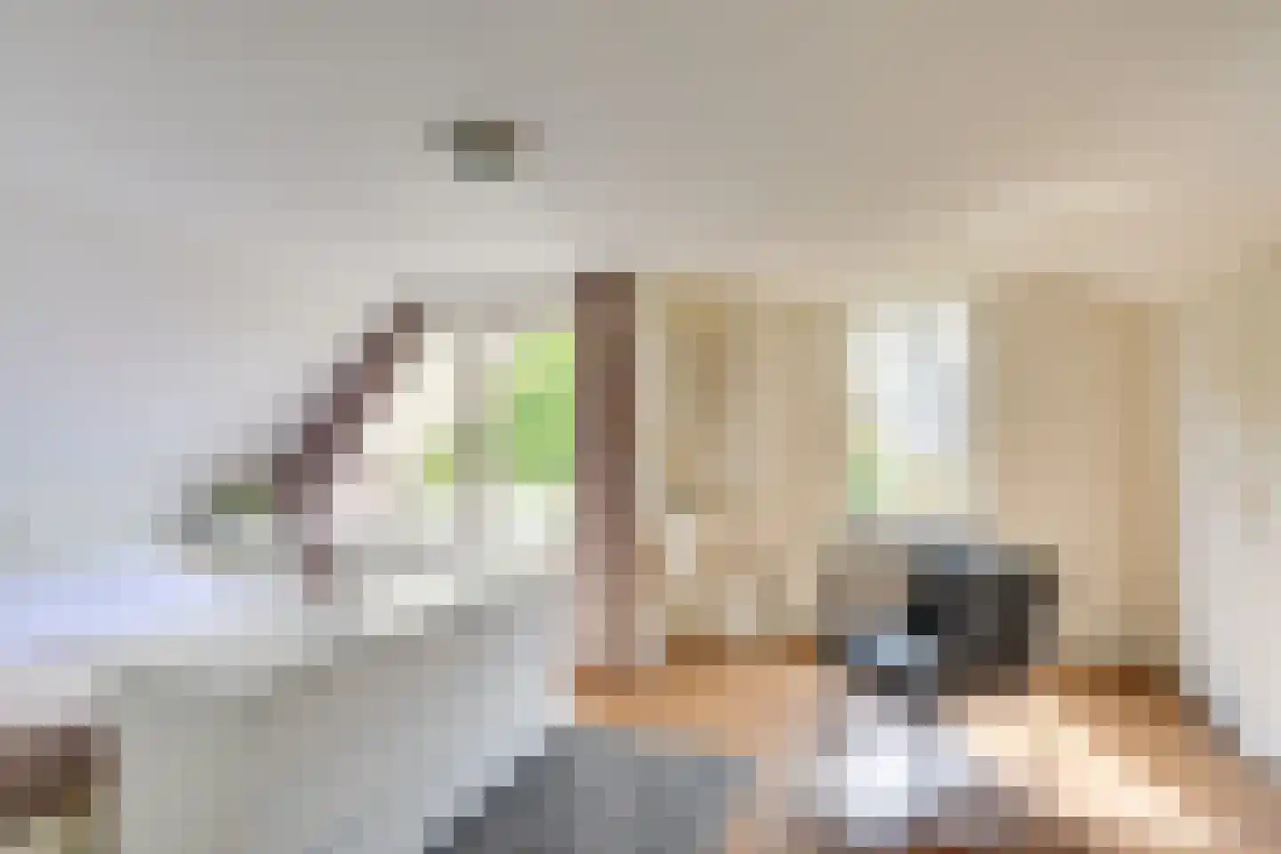 Paus Joanneslaan 17 Uden thumbnail 23