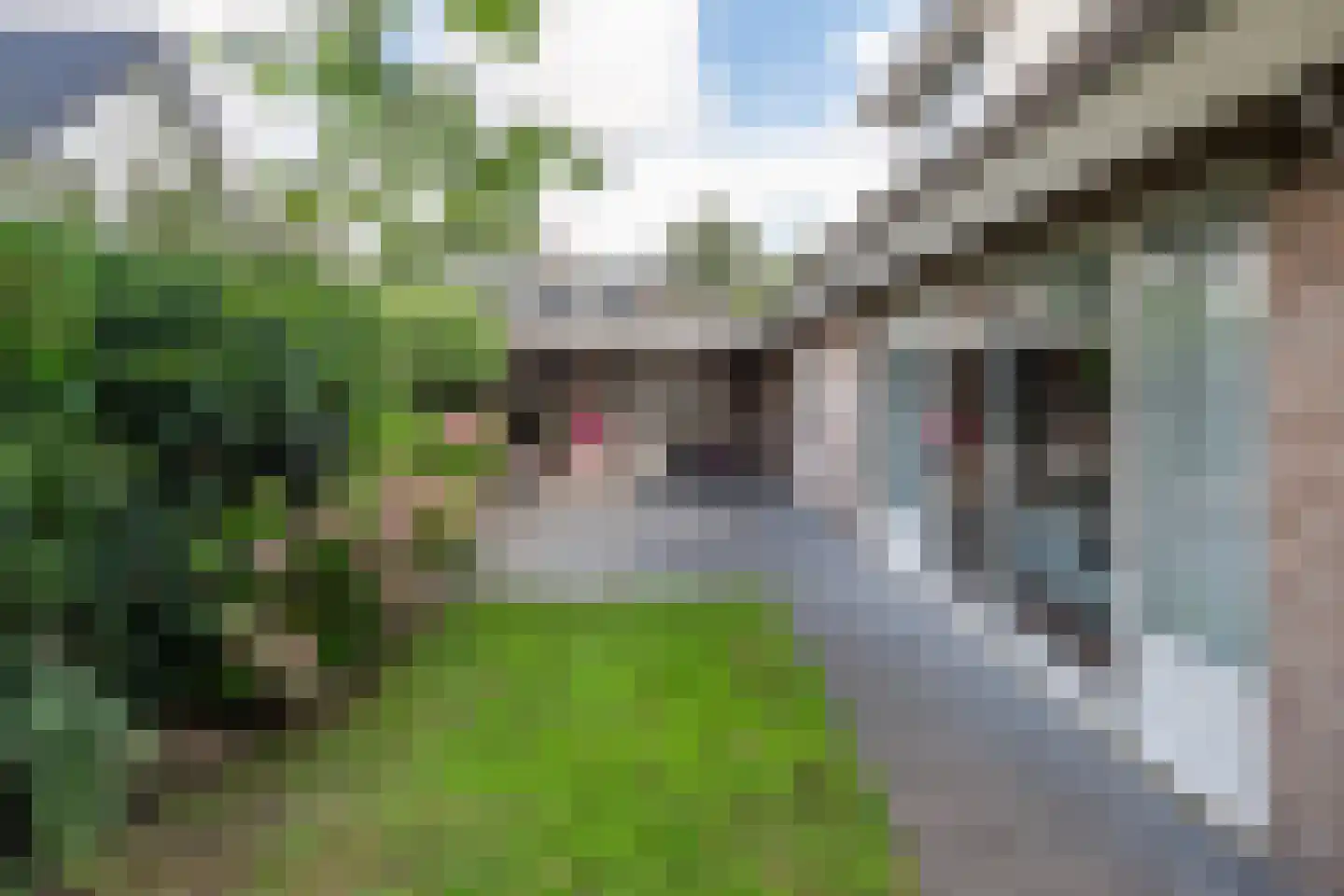 Paus Joanneslaan 17 Uden thumbnail 30