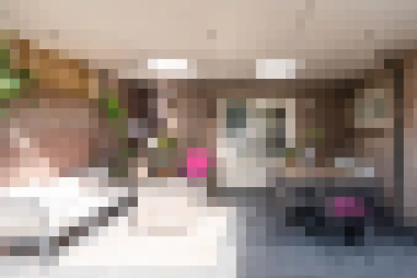 Paus Joanneslaan 17 Uden thumbnail 31