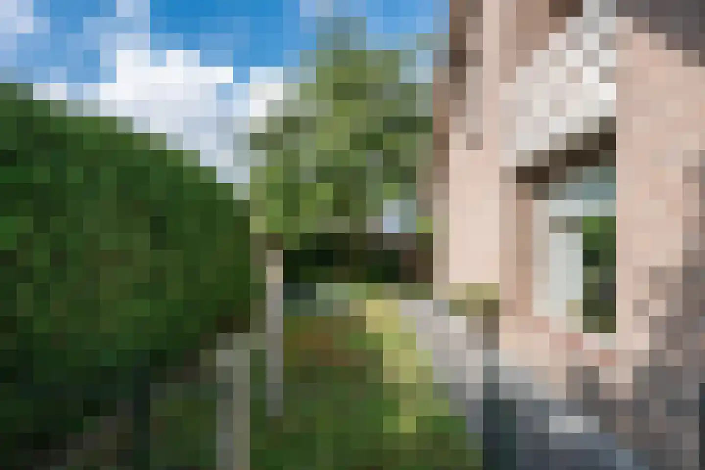 Paus Joanneslaan 17 Uden thumbnail 35