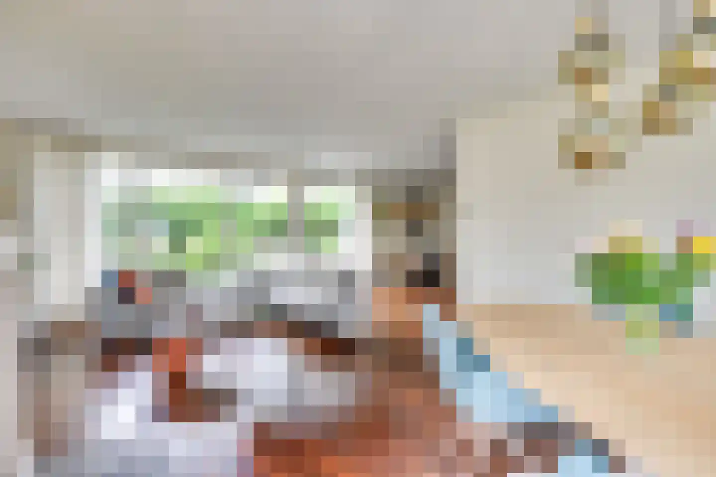 Paus Joanneslaan 17 Uden thumbnail 8