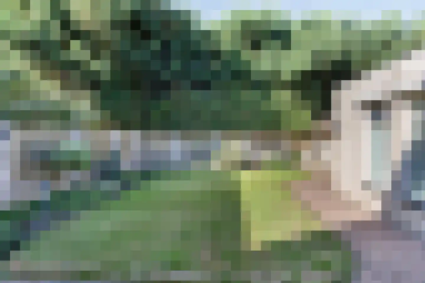 Paus Joanneslaan 18 B Erp thumbnail 35