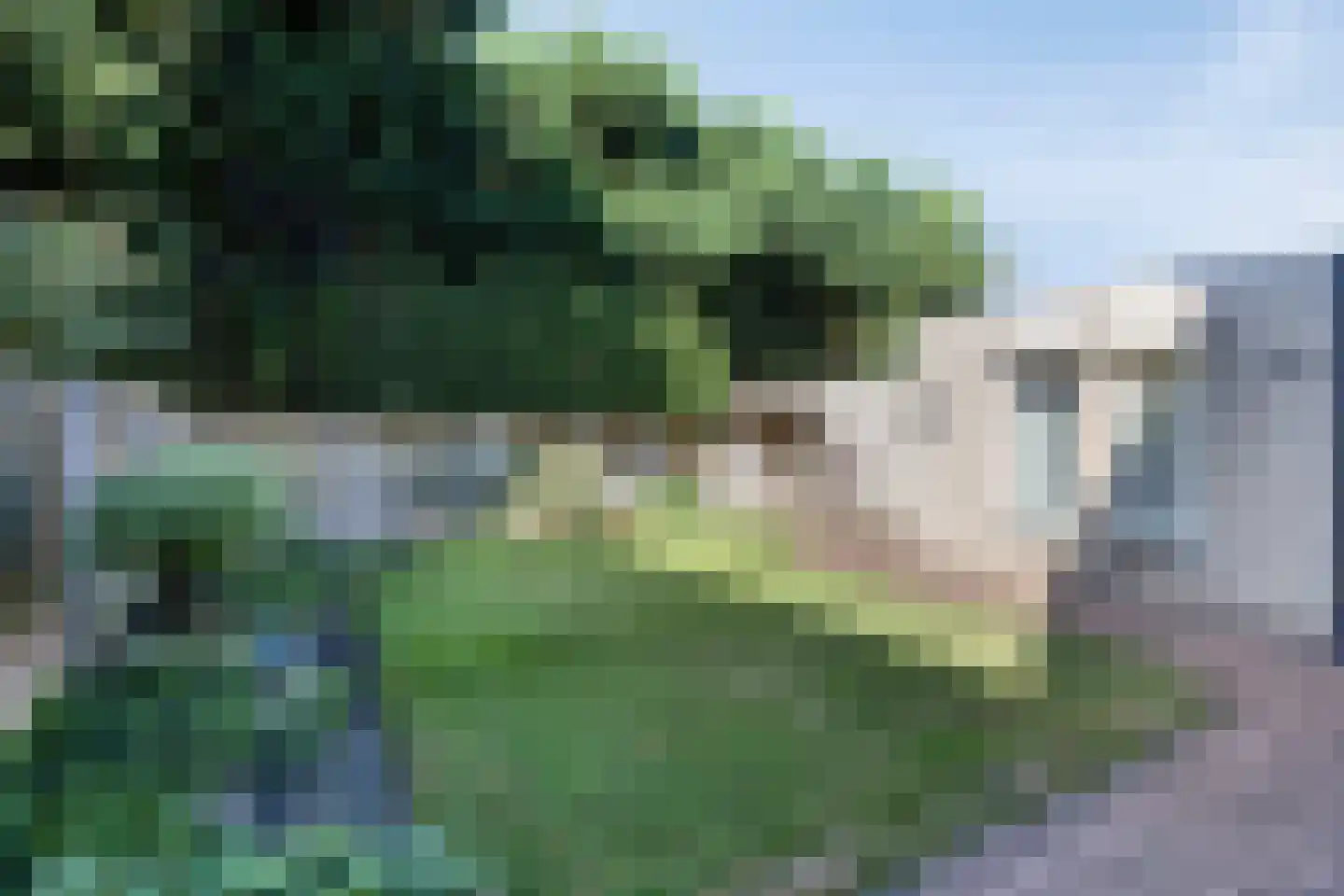 Paus Joanneslaan 18 B Erp thumbnail 36