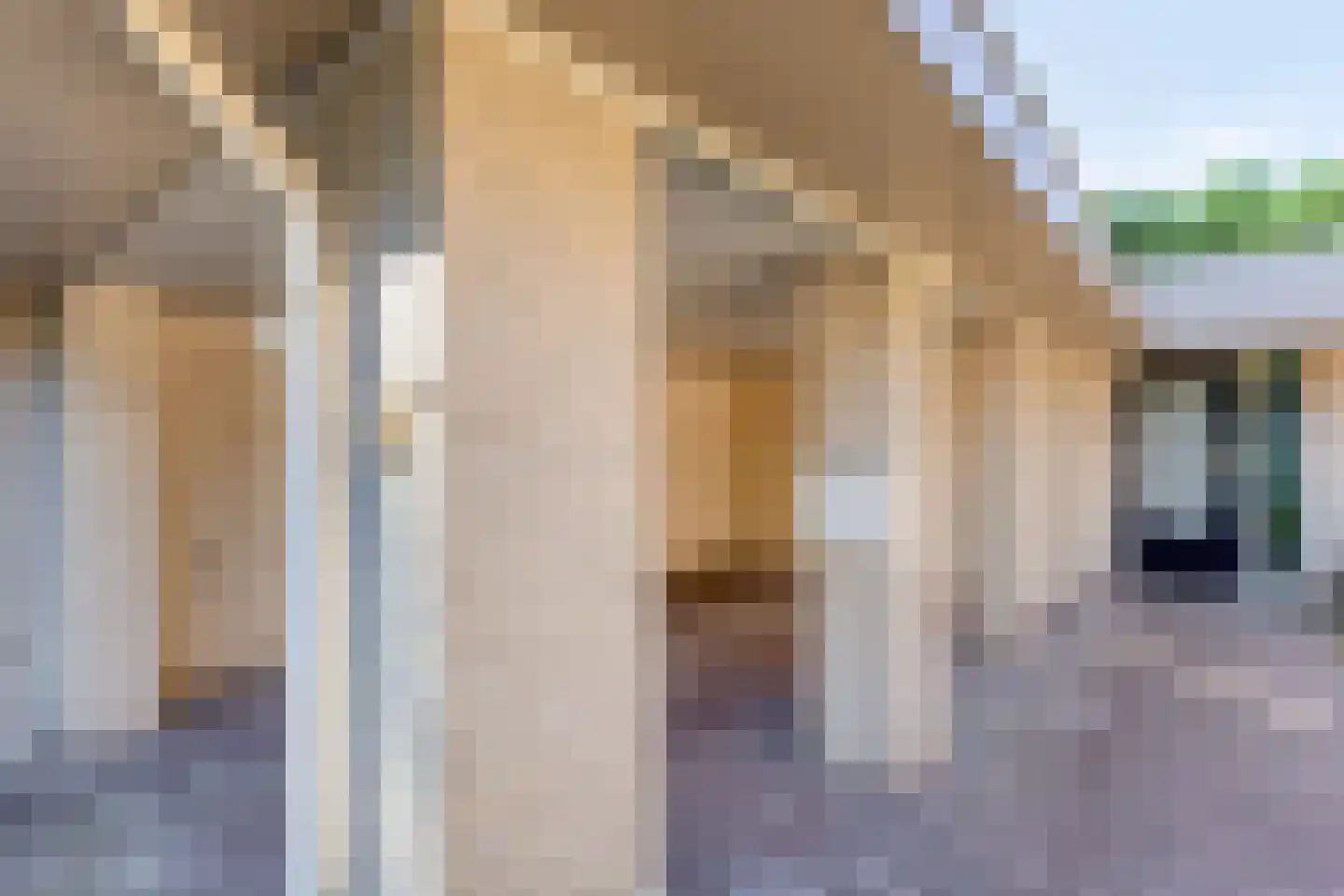 Paus Joanneslaan 18 B Erp thumbnail 4