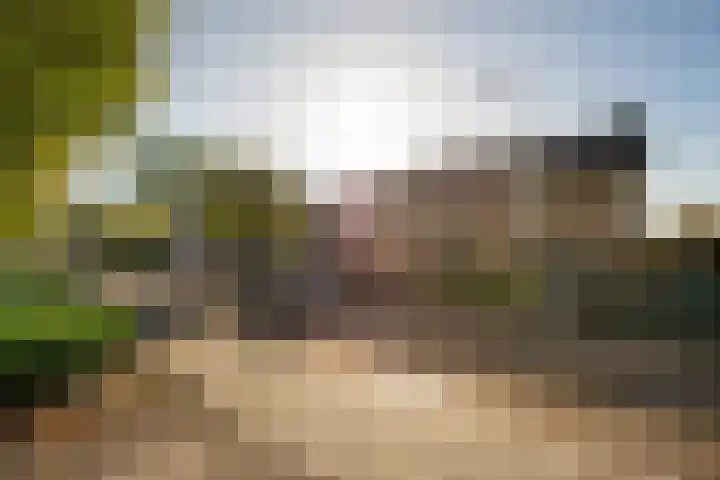Paus Joanneslaan 30 Ossendrecht thumbnail 44