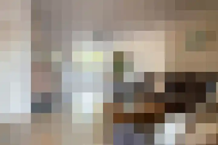 Paus Joanneslaan 30 Ossendrecht thumbnail 8
