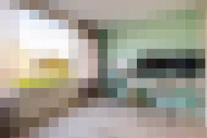 Paus Joanneslaan 4 Ossendrecht thumbnail 17