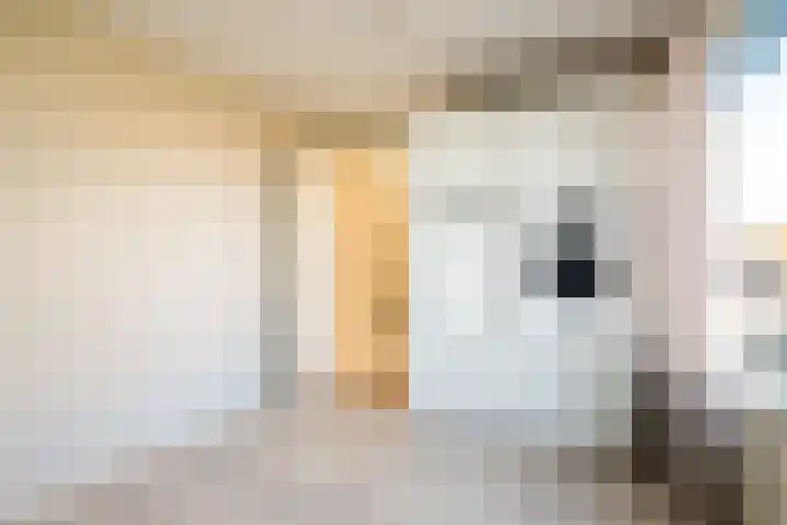 Paus Joanneslaan 4 Ossendrecht thumbnail 18