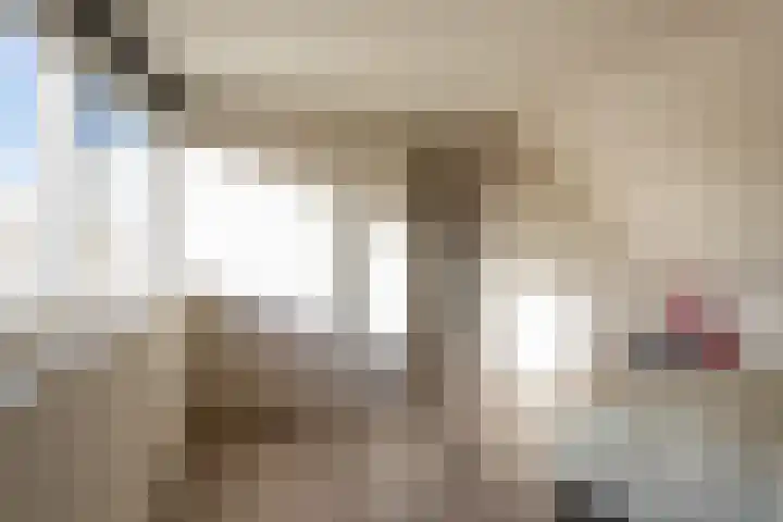 Paus Joanneslaan 4 Ossendrecht thumbnail 25