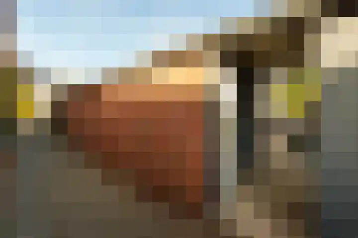 Paus Joanneslaan 4 Ossendrecht thumbnail 34