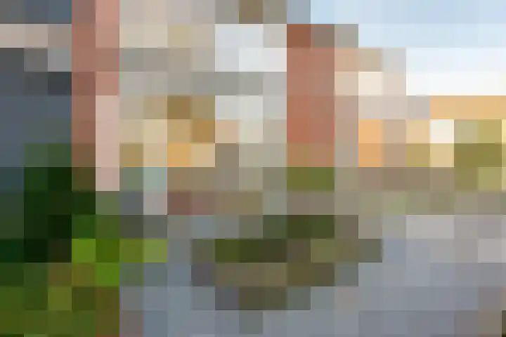 Paus Joanneslaan 4 Ossendrecht thumbnail 35