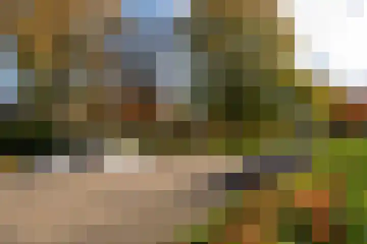 Paus Joanneslaan 4 Ossendrecht thumbnail 39