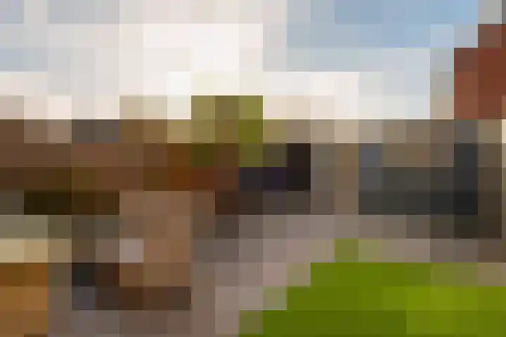 Paus Joanneslaan 4 Ossendrecht thumbnail 4