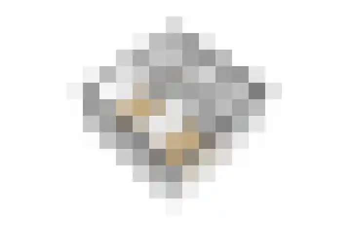 Paus Joanneslaan 4 Ossendrecht thumbnail 45