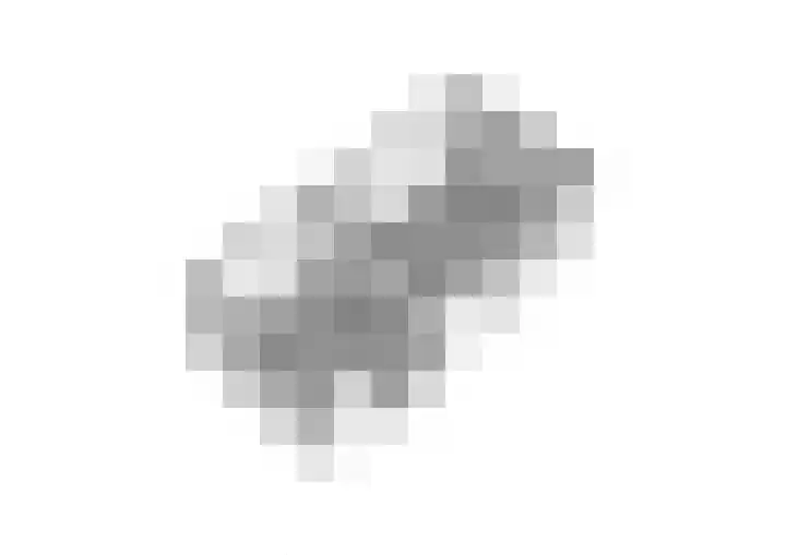 Paus Joanneslaan 4 Ossendrecht thumbnail 47