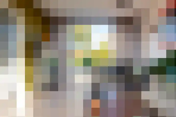Paus Joanneslaan 4 Ossendrecht thumbnail 8