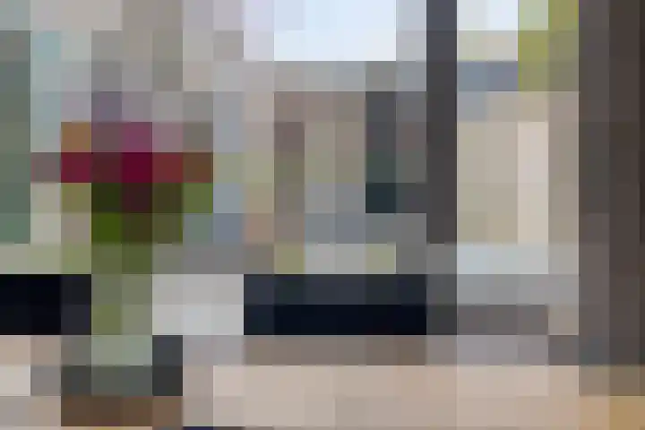 Paus Joanneslaan 6 Ossendrecht thumbnail 13