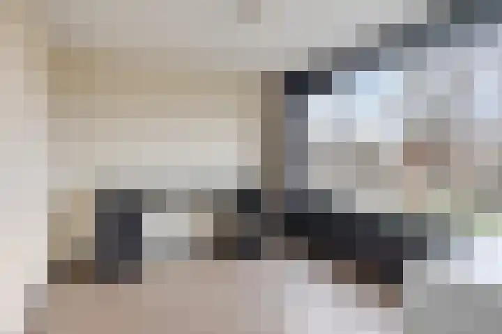 Paus Joanneslaan 6 Ossendrecht thumbnail 21
