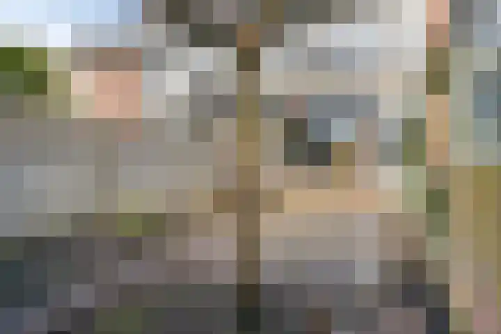 Paus Joanneslaan 6 Ossendrecht thumbnail 33