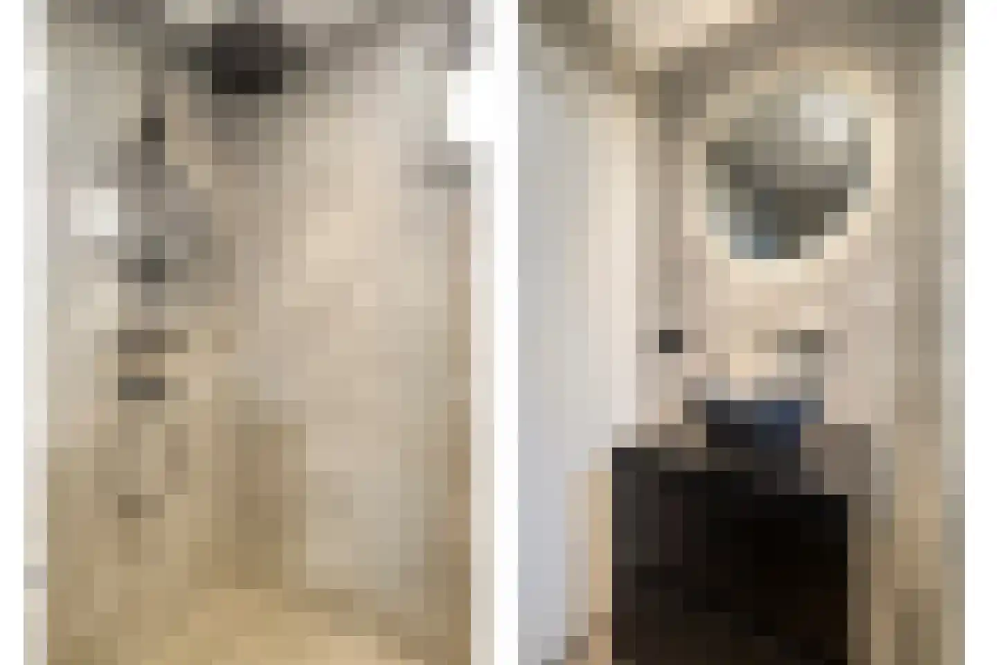 Paus Joannesstraat 22 Ulestraten thumbnail 24