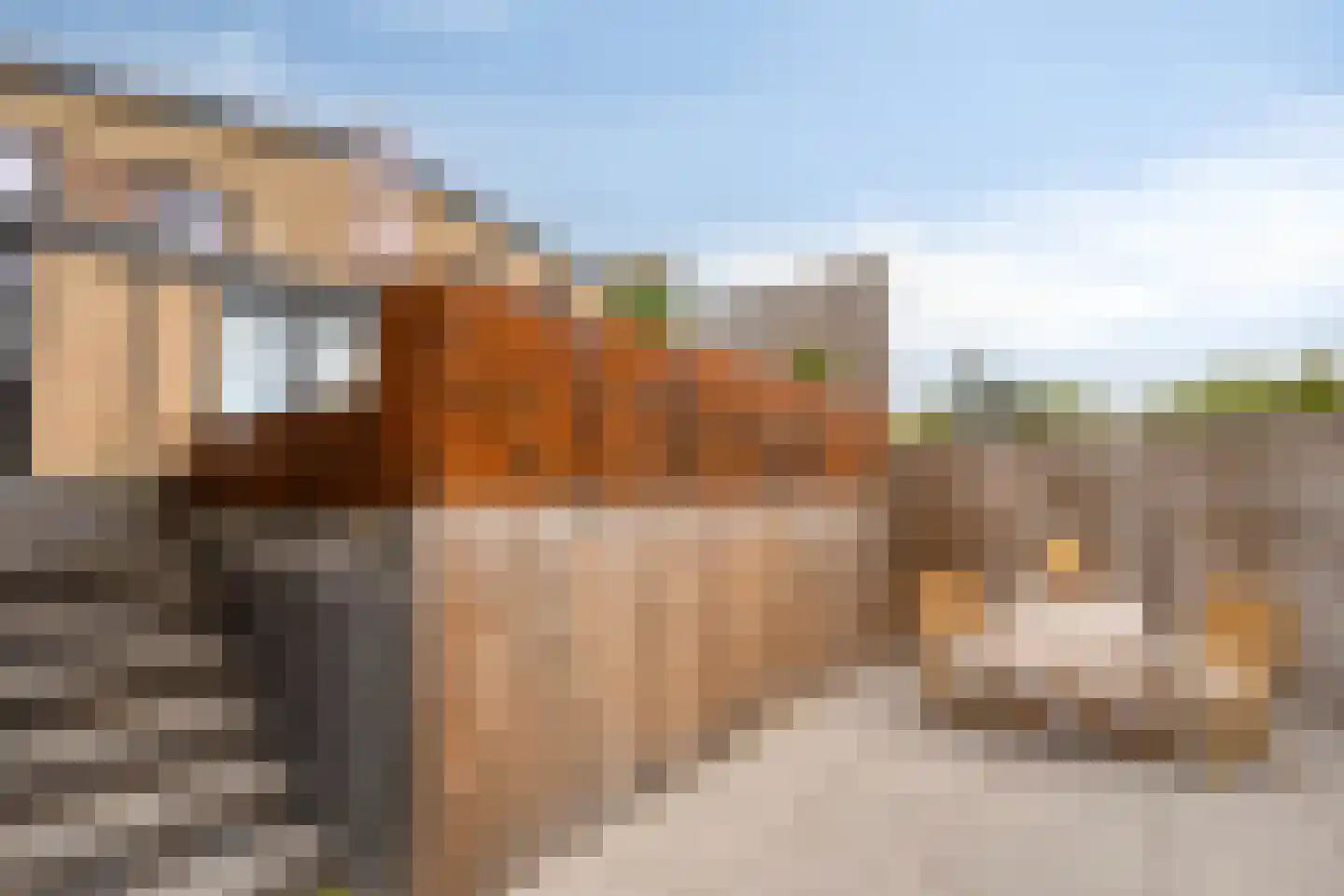 Paus Joannesstraat 22 Ulestraten thumbnail 28