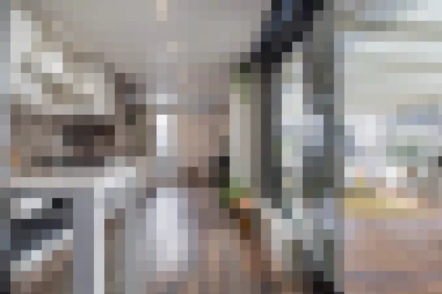 Paus Johannesstraat 27 Emmen thumbnail 16