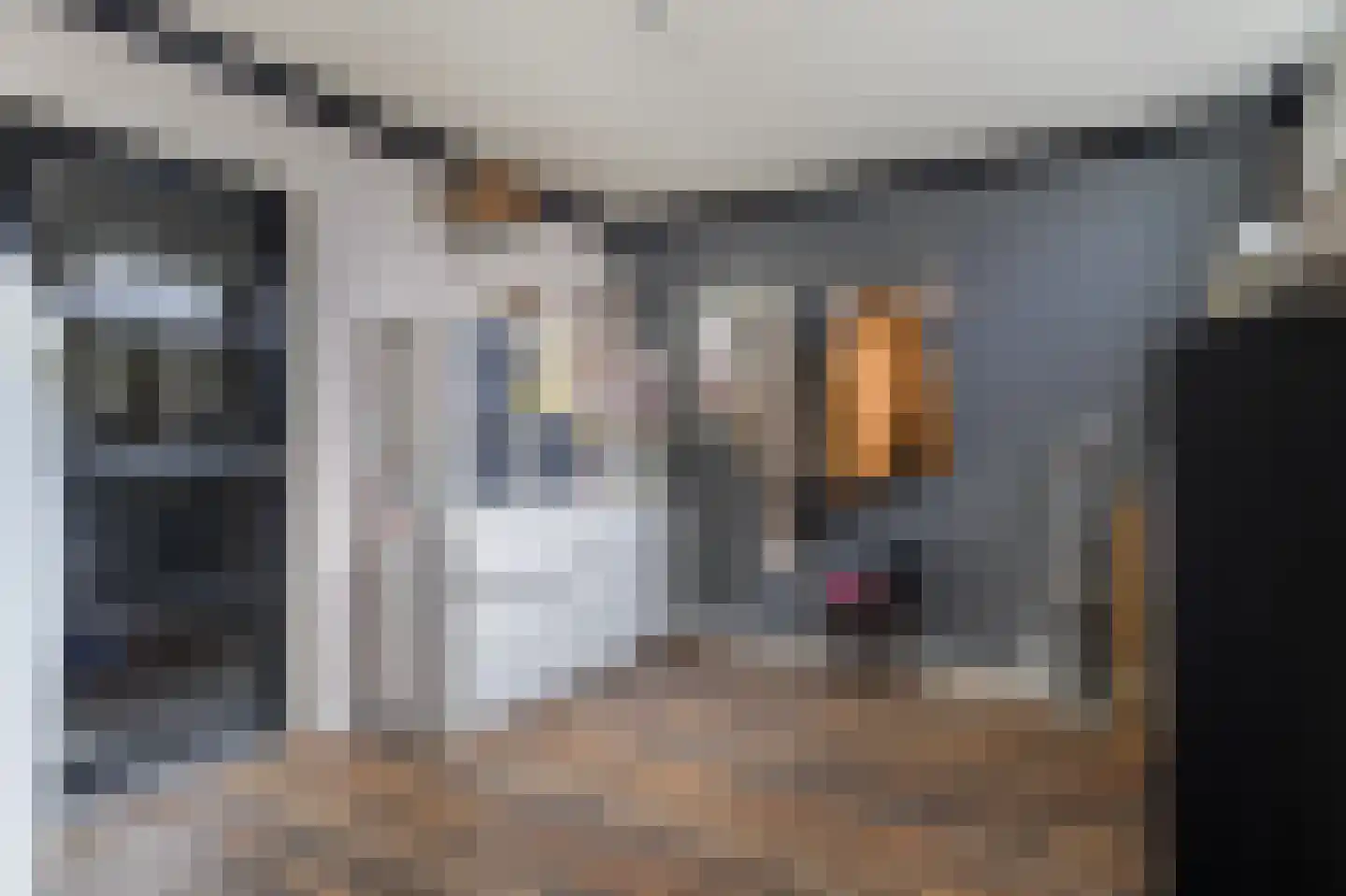 Paus Johannesstraat 27 Emmen thumbnail 20