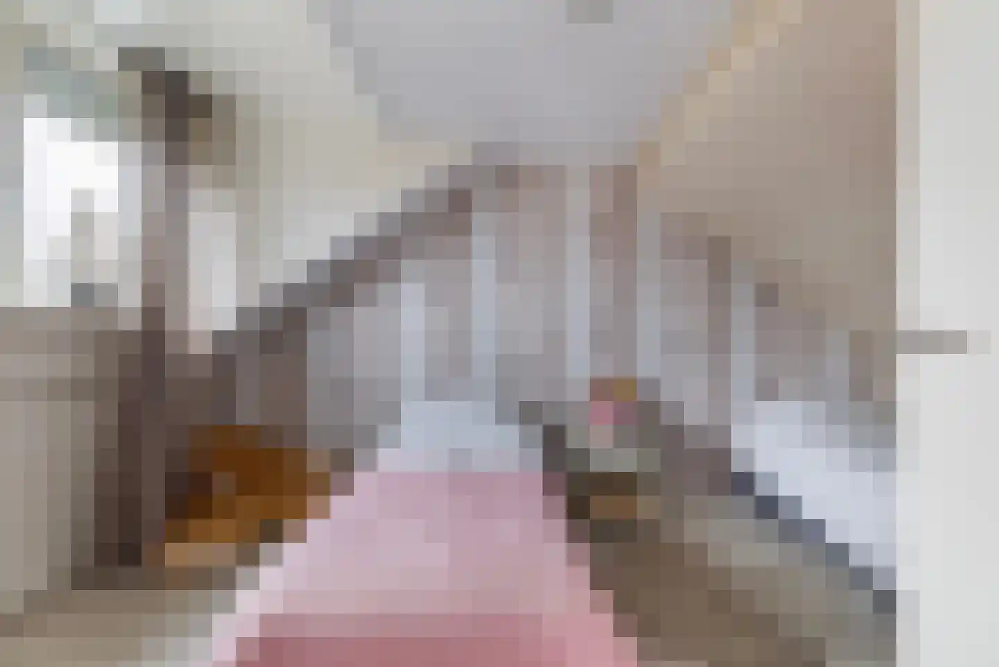 Paus Johannesstraat 27 Emmen thumbnail 36