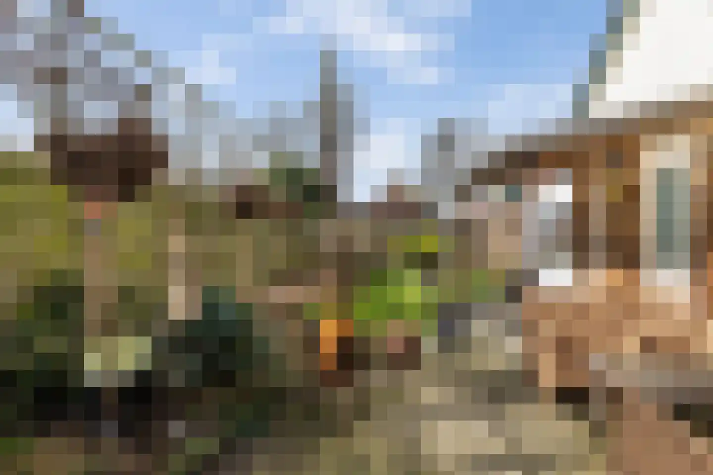 Paus Johannesstraat 27 Emmen thumbnail 41