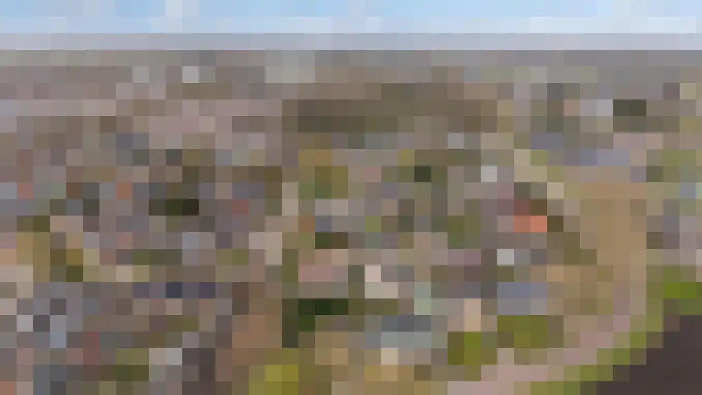 Paus Johannesstraat 27 Emmen thumbnail 44