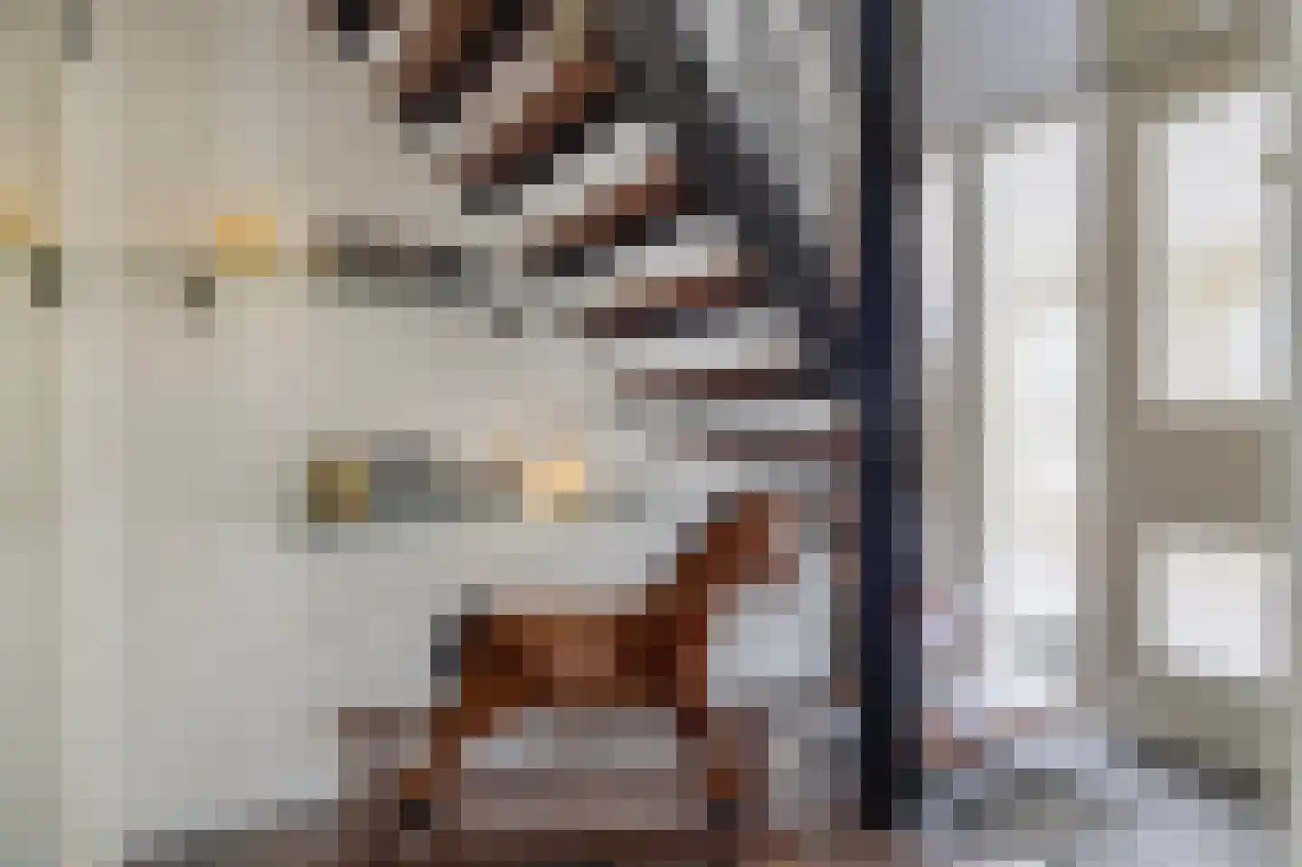 Paus Johannesstraat 27 Emmen thumbnail 5