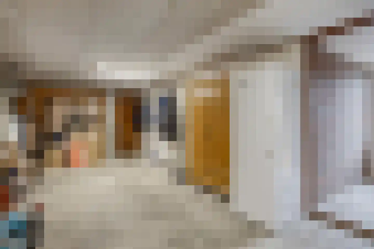 Paus Johannesstraat 40 Emmen thumbnail 35