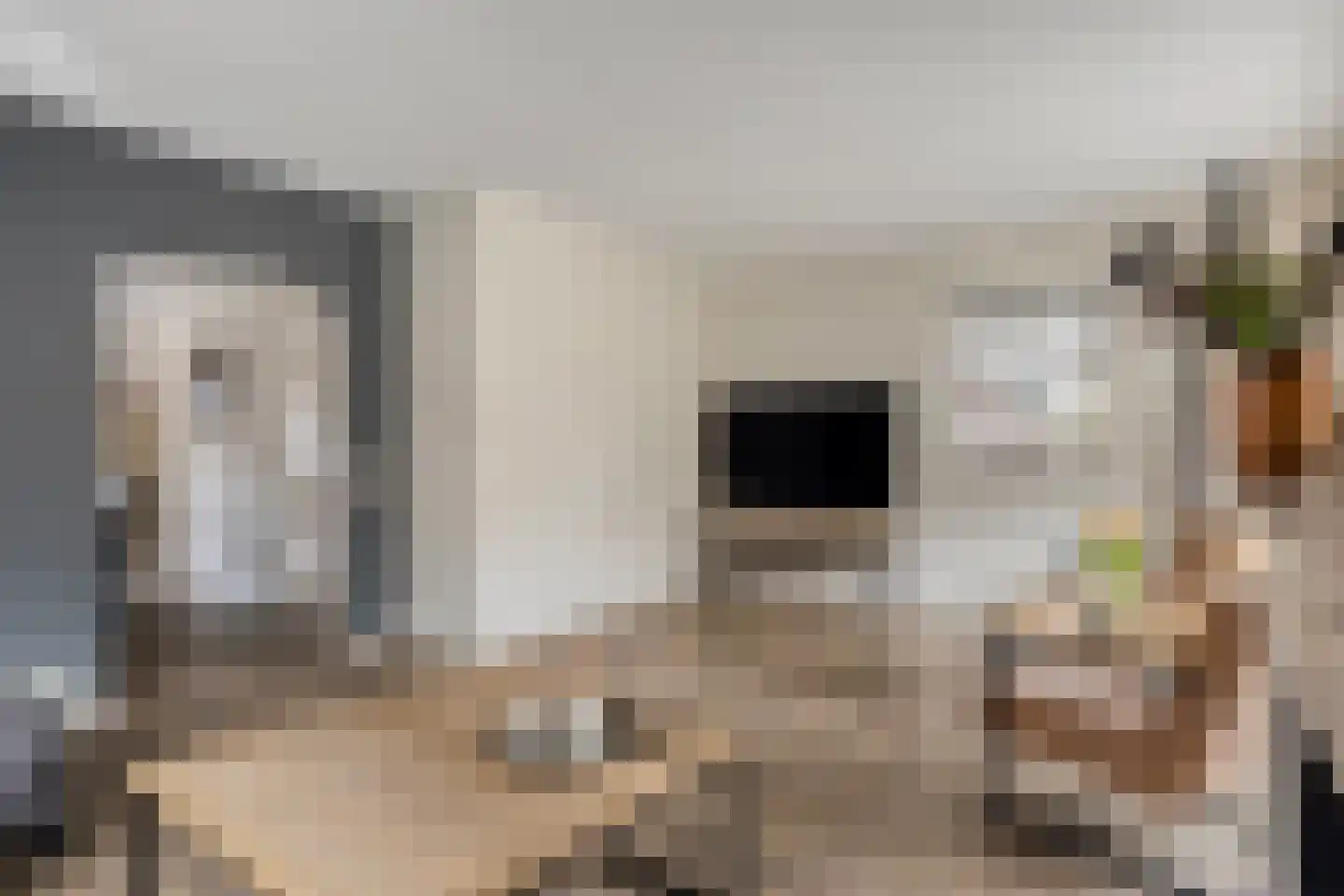 Paus Johannesstraat 40 Emmen thumbnail 4