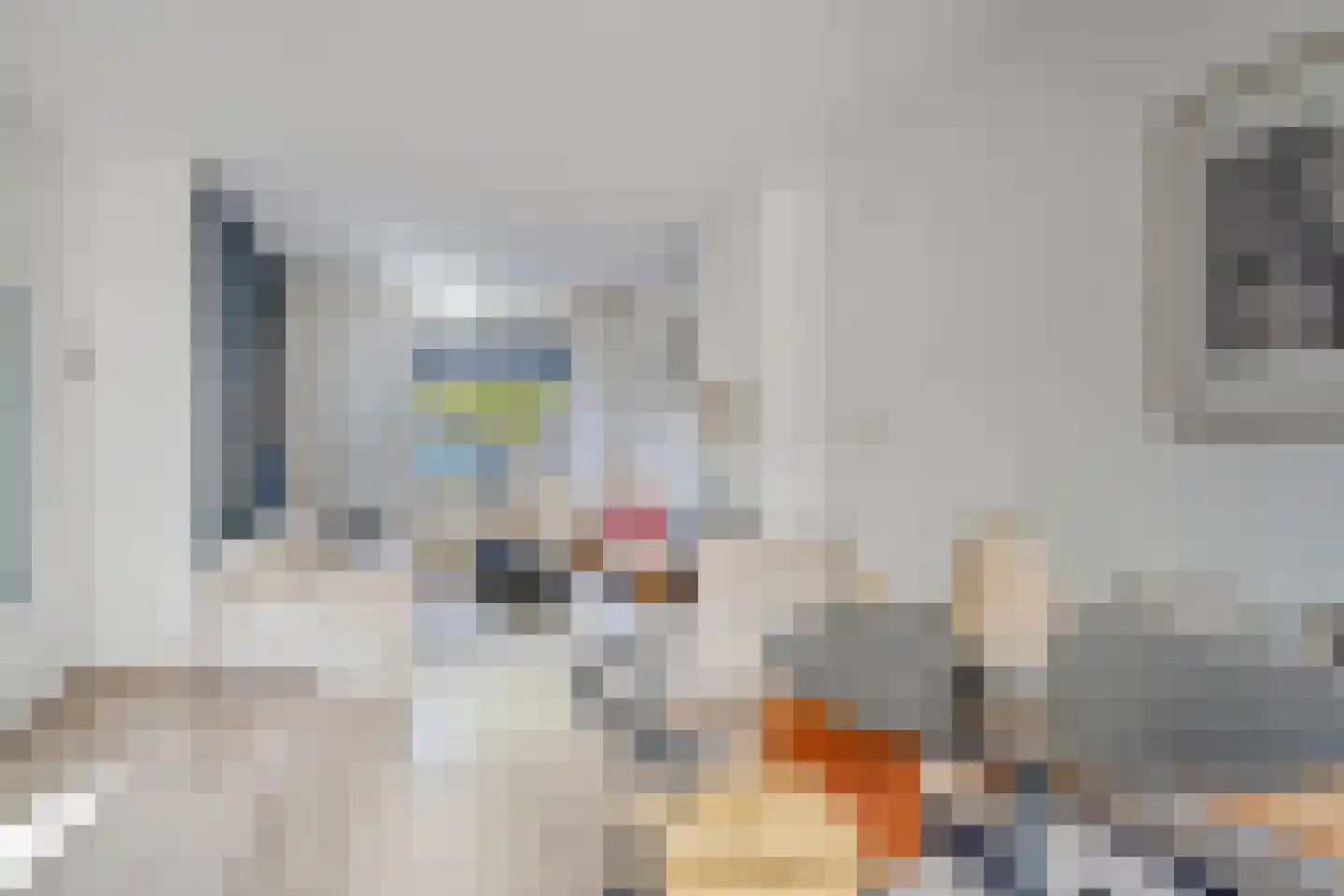 Paus Leo XIII plein 7 Maastricht thumbnail 7
