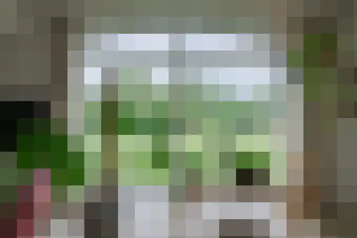 Pausendijk 1 Halle thumbnail 15