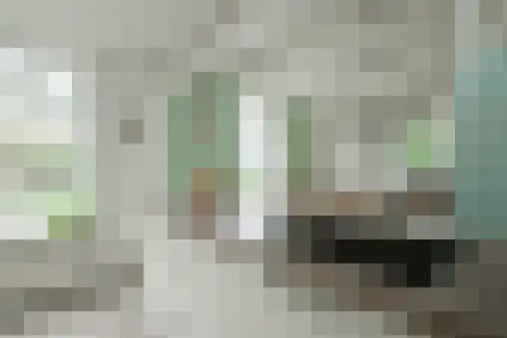 Pausendijk 1 Halle thumbnail 22