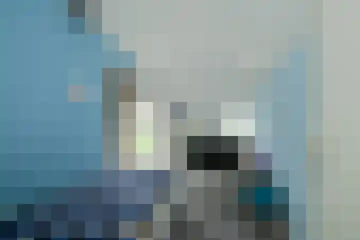 Pausendijk 1 Halle thumbnail 36