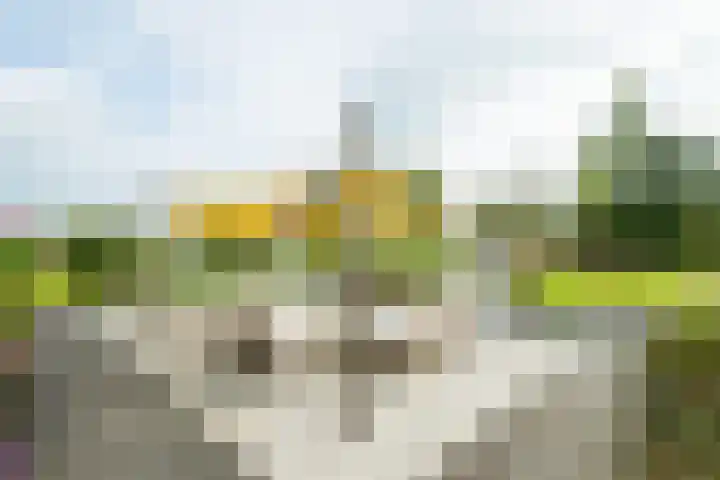 Pausendijk 1 Halle thumbnail 40
