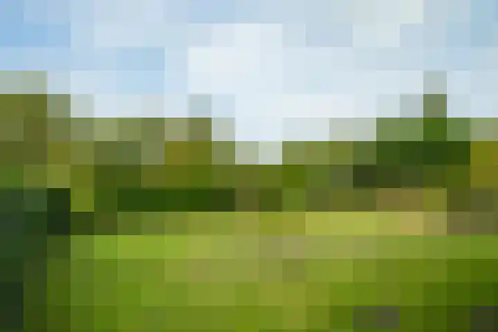 Pausendijk 1 Halle thumbnail 42