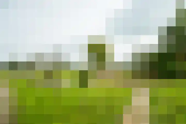 Pausendijk 1 Halle thumbnail 43