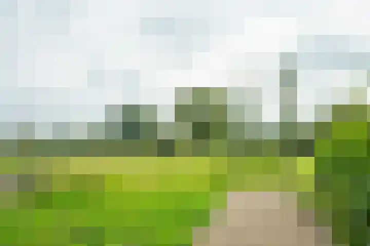 Pausendijk 1 Halle thumbnail 44