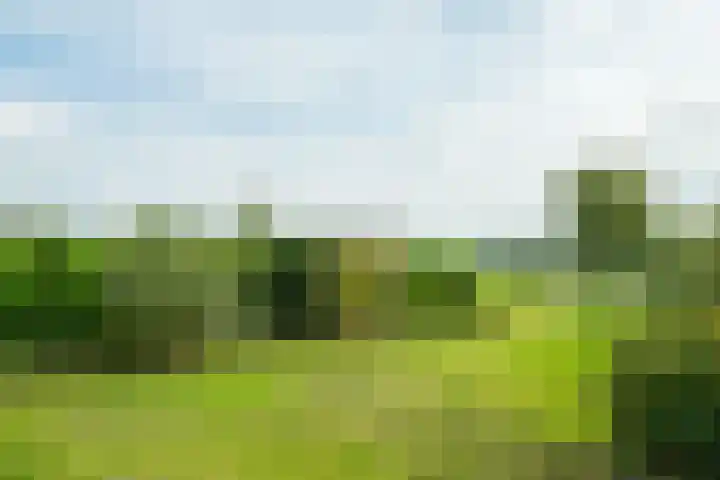 Pausendijk 1 Halle thumbnail 45