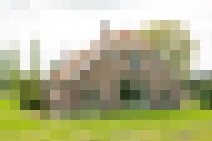 Pausendijk 1 Halle thumbnail 46