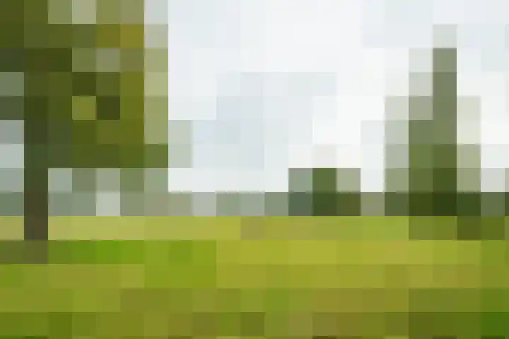 Pausendijk 1 Halle thumbnail 50